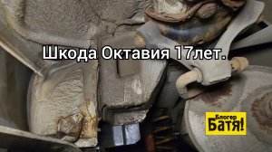 Шкода Октавия, 17 лет. Один хозяин.