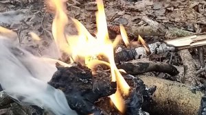 5- минут у ноябрьского дымного костра