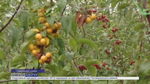 Информационный выпуск Майкопского телевидения 13.11.25