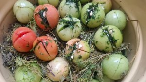 Ферментированные зеленые помидоры-вкусно и полезно, вариант  с горчицей