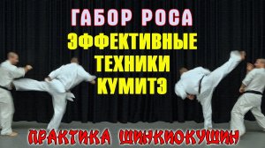 Практика Шинкиокушин.Эффективные техники кумитэ(Габор Роса)