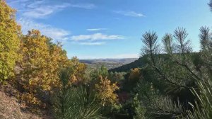 Золотая осень в Крыму.Cбор Яблок и Грибов