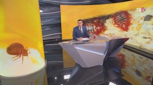 Русофобская истерия во Франции вышла на новый уровень