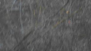 А белочка придет нежданно, когда ее совсем не ждешь. DSCN7013