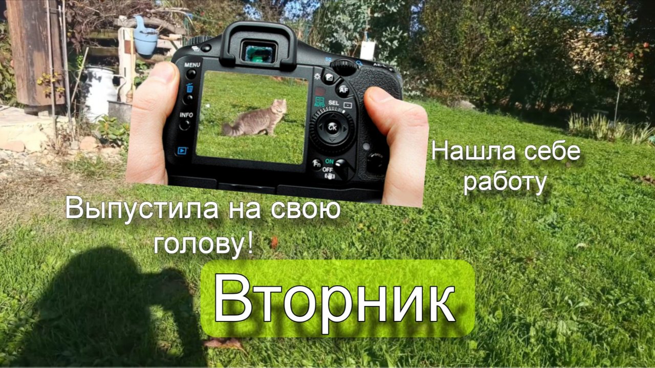 Неделя со мной во Франции. От рассвета до заката.