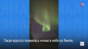 Впечатляющая красота в небе Ямала