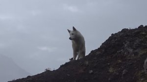 Сумасшедшие - счастливые люди.