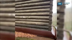 Глава управления лично осмотрит дачу Рихтера для присвоения