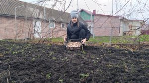 ВЕРНУЛАСЬ В РОССИЮ/РАЗБИРАЕМ МЕБЕЛЬ,БОЛЬШИЕ ПЕРЕМЕНЫ/САЖАЮ ЧЕСНОК/