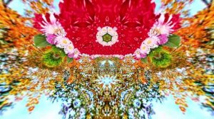 Футажи! Футаж Осенняя волшебная сказка 2! Осеннее волшебство!