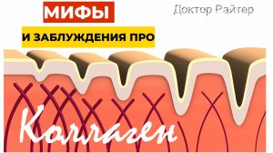 Мифы про коллаген