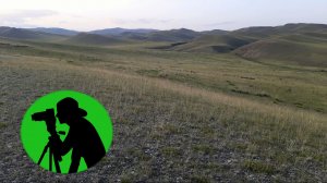 Звуки вечерней степи / Стрекотание кузнечиков для отдыха и релаксации