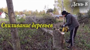 #7 Купили Заброшенный Дачный Участок / Посадили виноград / Спиливание деревьев / Дача с нуля