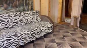 copy_AA34FB31-9416-4302-861B-02BF213B2F83