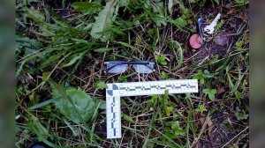 Последняя встреча знакомых