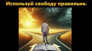 Используй свободу правильно!