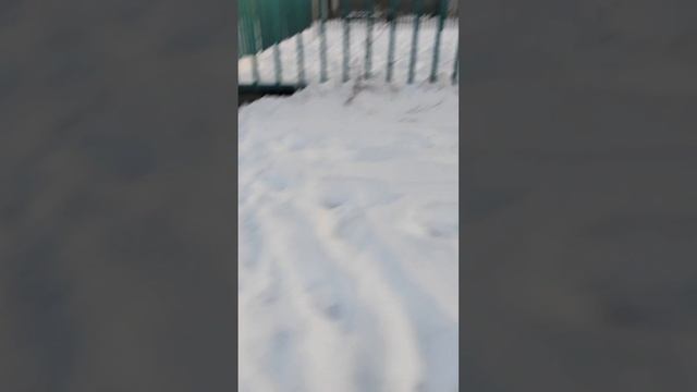 BACKROOMS ВЫЖИВАНИЕ #7