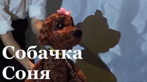 В Луганске состоялась премьера спектакля "Собачка Соня"