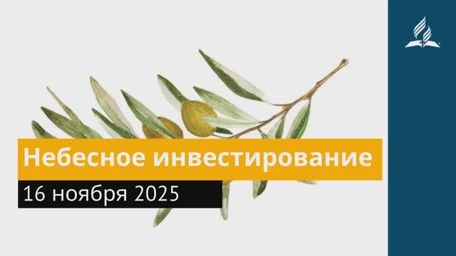 16 ноября 2025. Небесное инвестирование. Под сенью благодати. смотреть онлайн