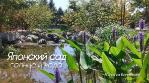 Японский сад Краснодара. Солнце и вода✅
