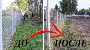 Из ЗАРОСШЕГО Заброшенного ДАЧНОГО УЧАСТКА в КОНФЕТКУ!!!