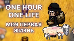 Моя первая жизнь One Hour One Life (Стрим от 10.11.2025)
