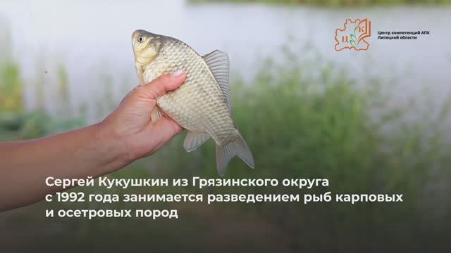 Фермер КукушкинРыбыfinal