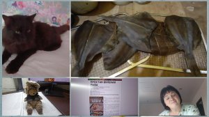 Покупная другая на запах.Поработать,почитать,побалдеть