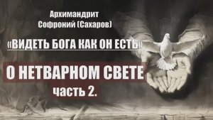 Архимандрит Софроний (Сахаров) - ВИДЕТЬ БОГА КАК ОН ЕСТЬ. Глава 14. О нетварном