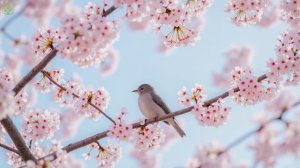 Музыка для расслабления и душевного тепла🌿Спокойное настроение и покой