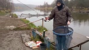 Народный день. Форель.