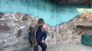 За несколько минут наши гамадрилята УХАЙДОКАЛИ нас с Владом по полной