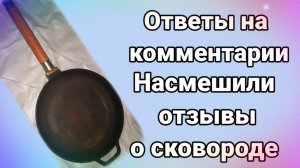 ОТВЕТ НА КОММЕНТАРИИ НАШЕЛ СКОВОРОДУ