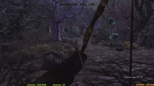 Enderal — глобальная модификация  к The Elder Scrolls V: Skyrim #12