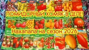 Семена томатов на сезон 2026.Закупилась от души.😁