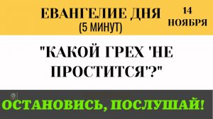 14 ноября Евангелие дня Какой грех не простится ни в сем веке, ни в будущем (Лк 12 2-12)