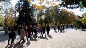 золотая-осень