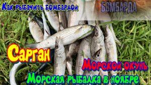 Как рыбачить снастью бомбарда