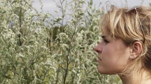 Горький вкус полыни  Стихи Р. Мартысь. Муз.В.Печенкина. Вокал Л. Великановой.