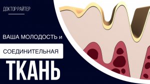 Соединительная ткань и ваша молодость