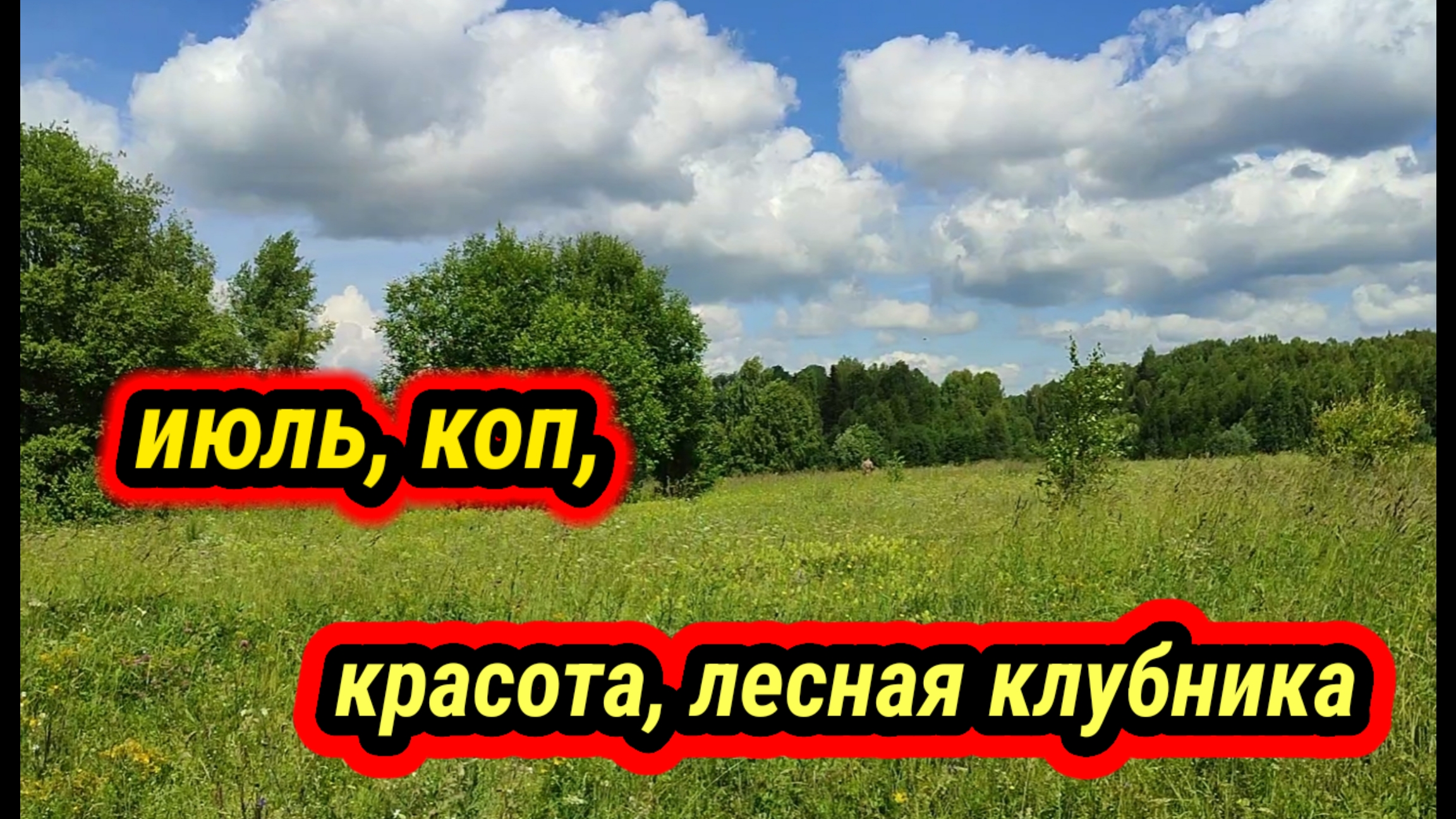 июль, коп, лесная клубника смотреть онлайн