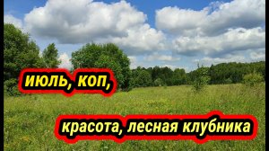 июль, коп, лесная клубника