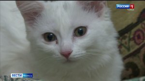 Вести-Томск, выпуск от 12.11.2025 21:10