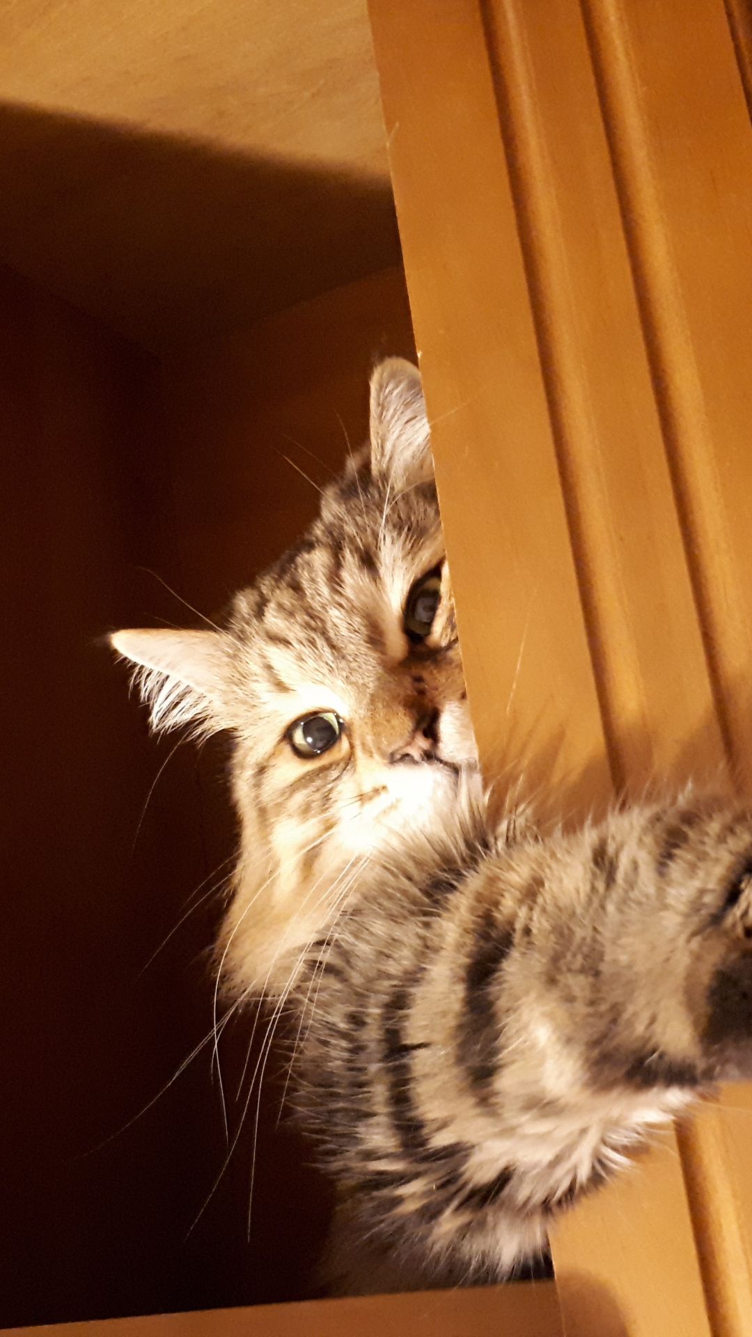 Антистресс 😼