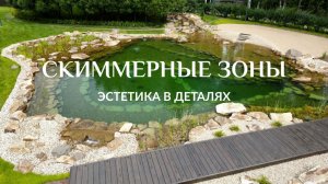 Скиммерные зоны: чистый пруд без листвы, веток и мусора