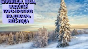 БЛИЗНЕЦЫ,ВЕСЫ, ВОДОЛЕЙ ТАРО-ПРОГНОЗ НА ДЕКАБРЬ 2025 ГОДА