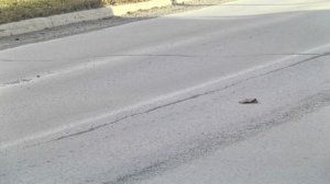 Продолжаем изучать правила парковки