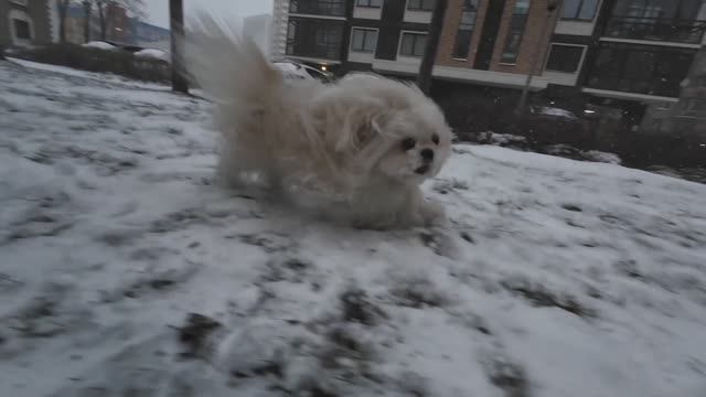 собираюсь на работку. Выпал снег. Дома. Выходной слетел. Бла-бла.  5-11 апр 2025