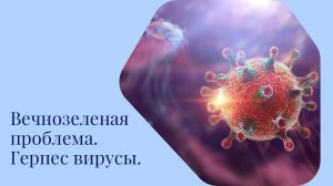 Вечнозеленая проблема. Герпес вирусы.