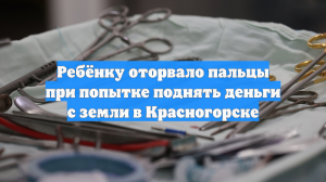 Ребёнку оторвало пальцы при попытке поднять деньги с земли в Красногорске